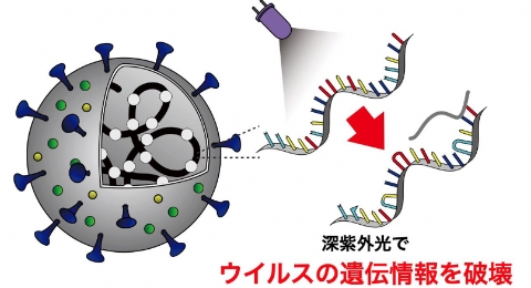 光でウイルスや細菌をやっつける